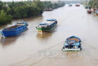 Xây dựng quy trình ưu tiên vận tải hàng hóa qua “luồng xanh” đường thủy