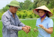 Gương mặt nông dân tiêu biểu của thành phố Hải Phòng