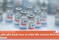 Chính phủ phê duyệt mua 20 triệu liều vaccine Vero Cell của Sinopharm