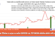 Tối 1/9: Thêm 11.434 ca mắc COVID-19, TP HCM nhiều nhất với 5.368 ca