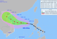 Huyện Cát Hải khẩn trương ứng phó bão số 5