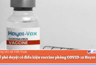 Bộ Y tế phê duyệt có điều kiện vaccine phòng COVID-19 Hayat-Vax