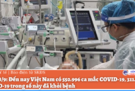 Sáng 8/9: Đã có 311.700 ca mắc COVID-19 đã khỏi; Cứu sống sản phụ F0 suy hô hấp nặng, phải can thiệp ECMO