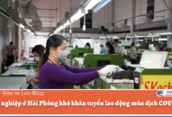 Doanh nghiệp ở Hải Phòng khó khăn tuyển lao động mùa dịch COVID-19