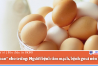 “Giải oan” cho trứng – người bệnh tim mạch, bệnh gout nên biết