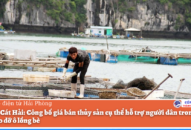 Huyện Cát Hải: Công bố giá bán thủy sản cụ thể hỗ trợ người dân trong công tác tháo dỡ ô lồng bè