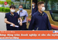 Hải Phòng, nhu cầu tuyển dụng lao động tăng cao