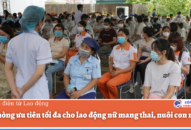 Hải Phòng ưu tiên tối đa cho lao động nữ mang thai, nuôi con nhỏ