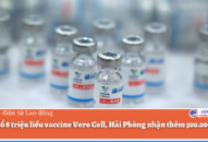 Phân bổ 8 triệu liều vaccine Vero Cell, Hà Nội nhận nhiều nhất