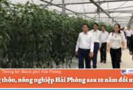 Nông thôn, nông nghiệp Hải Phòng sau 10 năm đổi mới