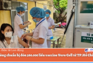 Hải Phòng chuẩn bị đón 560.000 liều vaccine Vero Cell từ TP.Hồ Chí Minh