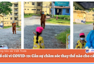 Trẻ mồ côi vì COVID-19: Cần sự chăm sóc thay thế nào cho các em?