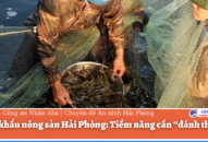 Xuất khẩu nông sản Hải Phòng: Tiềm năng cần “đánh thức”