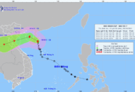 Chủ động các biện pháp ứng phó với bão số 7