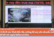 Bão số 8 suy yếu thành ATNĐ; xuất hiện hình thế hết sức nguy hiểm sau bão