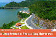 Cát Bà: Cung đường hoa đẹp nao lòng khi vào Thu