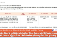 Thông báo đấu giá 94 lô đất tại phường Nam Sơn, quận Kiến An vào mục đích làm nhà ở cho các hộ gia đình, cá nhân theo phương thức đấu giá từng lô