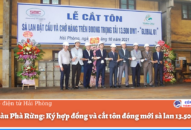 Công ty đóng tàu Phà Rừng: Ký hợp đồng và cắt tôn đóng mới sà lan 13.500 tấn