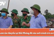 Hơn 2.000 tàu thuyền tại Hải Phòng đã vào nơi tránh trú an toàn