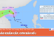 Tin bão khẩn cấp, cơn bão số 7