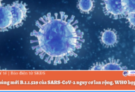 Biến chủng mới B.1.1.529 của SARS-CoV-2 nguy cơ lan rộng, WHO họp khẩn