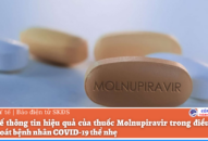 Bộ Y tế thông tin hiệu quả của thuốc Molnupiravir trong điều trị có kiểm soát bệnh nhân COVID-19 thể nhẹ
