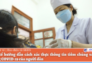 Bộ Y tế hướng dẫn cách xác thực thông tin tiêm chủng vaccine phòng COVID-19 của người dân