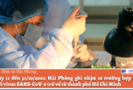 Trong vòng 20 ngày (từ 11 đến 31/10/2021): Hải Phòng ghi nhận 16 trường hợp dương tính với virus SARS-CoV-2