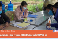 Hai công nhân công ty may ở Hải Phòng mắc COVID-19