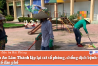 Huyện An Lão: Thành lập lại 118 tổ phòng, chống dịch bệnh tại các thôn, tổ dân phố