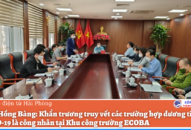 Quận Hồng Bàng: Khẩn trương truy vết các trường hợp dương tính với COVID-19 là công nhân tại Khu công trường ECOBA, số 2A đường Hồng Bàng, phường Sở Dầu