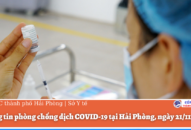 Thông tin phòng chống dịch COVID-19 tại Hải Phòng, ngày 21/11/2021