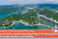 Từ ngày 10/11/2021, chuyển hoạt động Cảng cá Cát Bà sang Cảng cá và Khu dịch vụ hậu cần thủy sản Trân Châu