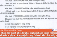 Ủy ban Nhân dân thành phố: Xử phạt vi phạm hành chính 900 triệu đồng đối với chủ tàu vi phạm các quy định trong lĩnh vực khai thác thủy sản