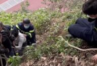 Đội Cảnh sát PCCC&CNCH khu vực Kiến An: Cứu người dân gặp nạn tại khu vực đồi Thiên Văn