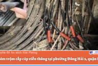 Bắt nhóm trộm cắp cáp viễn thông tại phường Đông Hải 2, quận Hải An