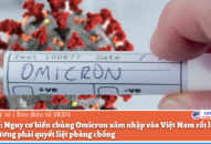 Bộ Y tế: Nguy cơ biến chủng Omicron xâm nhập vào Việt Nam rất lớn, các địa phương phải quyết liệt phòng chống