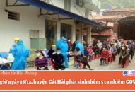 Đến 15 giờ ngày 16/12, huyện Cát Hải phát sinh thêm 5 ca nhiễm COVID-19
