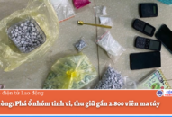 Hải Phòng: Phá ổ nhóm tinh vi, thu giữ gần 2.800 viên ma túy