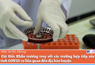 Huyện Cát Hải: Khẩn trương truy vết các trường hợp tiếp xúc với ca dương tính COVID-19 liên quan đến địa bàn huyện