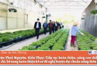 Các huyện Thủy Nguyên, Kiến Thụy: Tiếp tục hoàn thiện, nâng cao chất lượng các tiêu chí, bổ sung hoàn thiện hồ sơ đề nghị huyện đạt chuẩn nông thôn mới