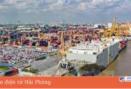 Cảng Hải Phòng: Dự kiến đón gần 40 lượt tàu vào làm hàng dịp Tết Nguyên đán Nhâm Dần 2022