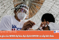 Chuyên gia của WHO dự báo đại dịch COVID-19 sắp kết thúc