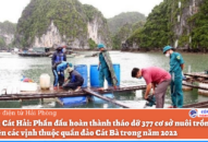 Huyện Cát Hải: Phấn đấu hoàn thành tháo dỡ 377 cơ sở nuôi trồng thủy sản trên các vịnh thuộc quần đảo Cát Bà trong năm 2022