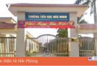 Tạm dừng công tác giáo viên có học sinh bị đánh ở huyện Kiến Thụy để xác minh, làm rõ