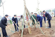 Chủ tịch UBND thành phố Nguyễn Văn Tùng dự Lễ phát động Tết trồng cây tại huyện Vĩnh Bảo