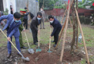 Quận Hồng Bàng phát động Tết Trồng cây Xuân Nhâm Dần 2022