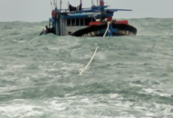 Tàu cá bị chìm sau cú va chạm với tàu hàng, 3 ngư dân được cứu sống