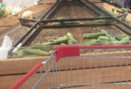 Sốt rau xanh sau đợt mưa rét kéo dài