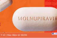 Nóng: Bộ Y tế chính thức công bố giá bán lẻ thuốc Molnupiravir điều trị COVID-19 vừa cấp phép